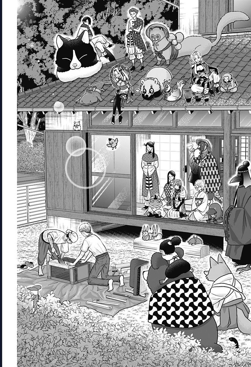 Saneka No Yomeiri: Chapter 13