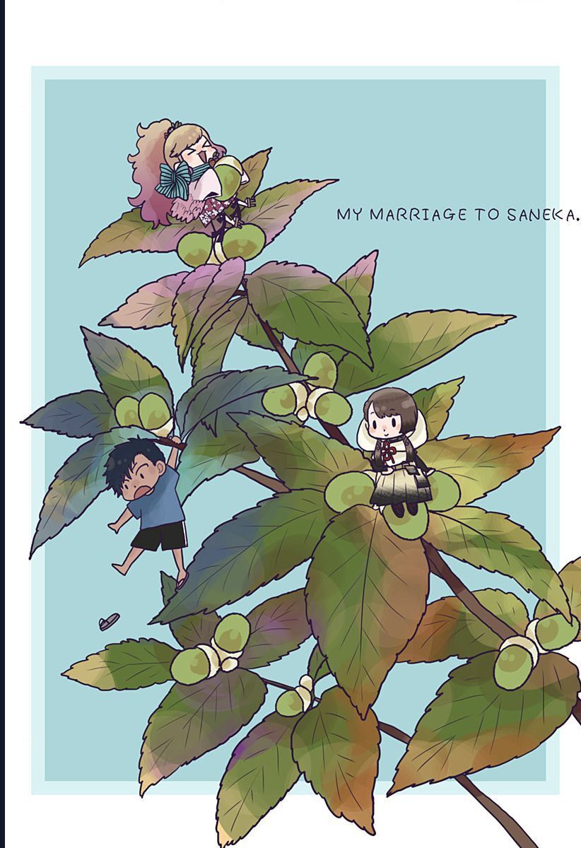 Saneka No Yomeiri: Chapter 14.5