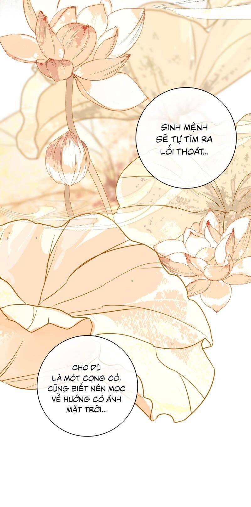 Sau Khi Chết Ta Trở Thành Nốt Chu Sa Của Ca Ca: Chapter 58