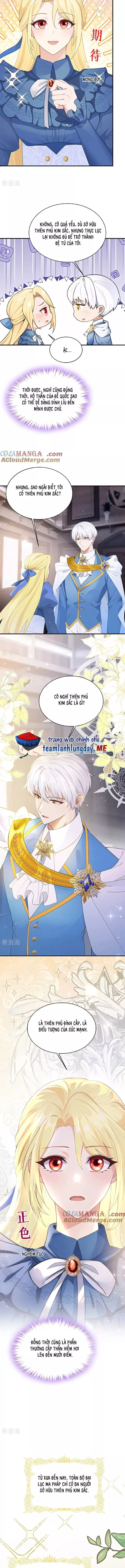 Sau khi nhường lại thiên phú, ta trở thành bảo bối của giới pháp thuật: Chapter 17