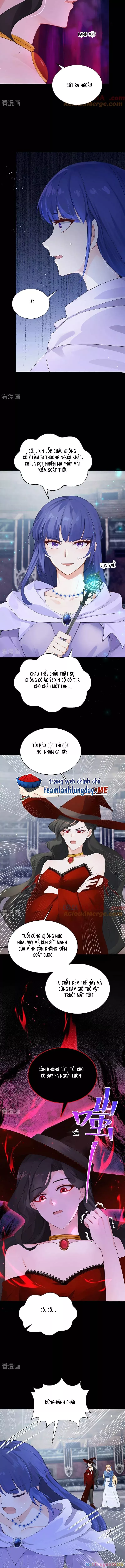 Sau khi nhường lại thiên phú, ta trở thành bảo bối của giới pháp thuật: Chapter 20