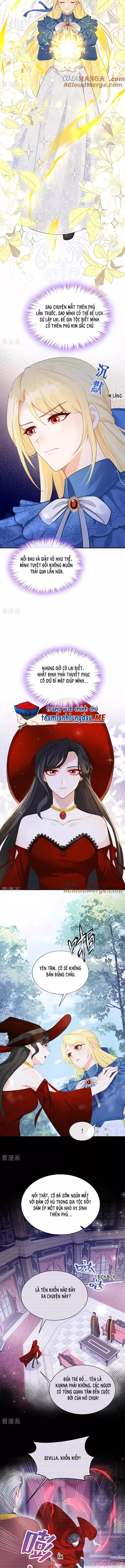 Sau khi nhường lại thiên phú, ta trở thành bảo bối của giới pháp thuật: Chapter 22
