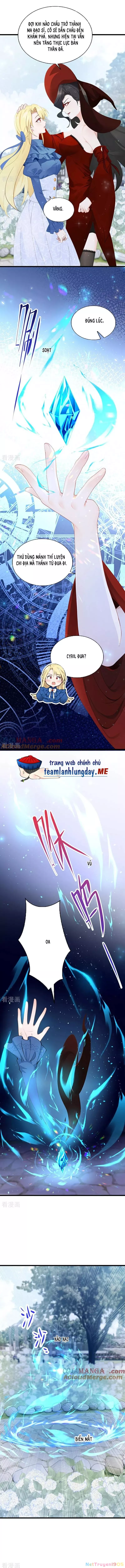 Sau khi nhường lại thiên phú, ta trở thành bảo bối của giới pháp thuật: Chapter 23