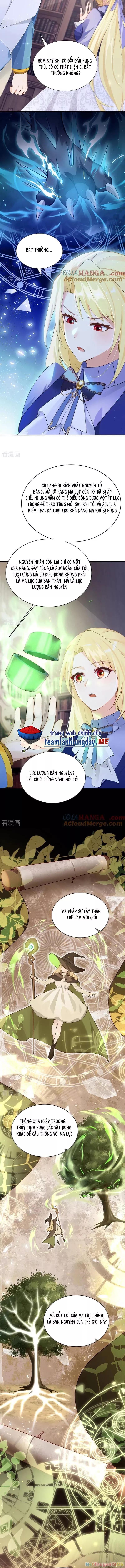Sau khi nhường lại thiên phú, ta trở thành bảo bối của giới pháp thuật: Chapter 27
