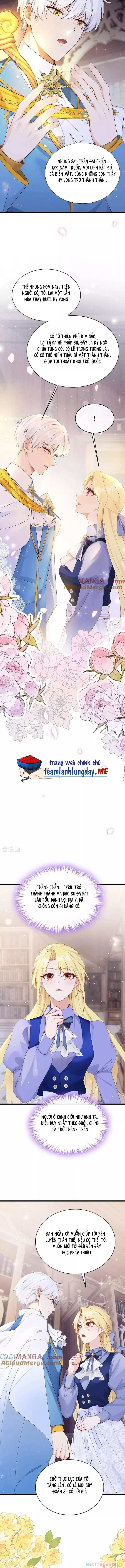 Sau khi nhường lại thiên phú, ta trở thành bảo bối của giới pháp thuật: Chapter 27