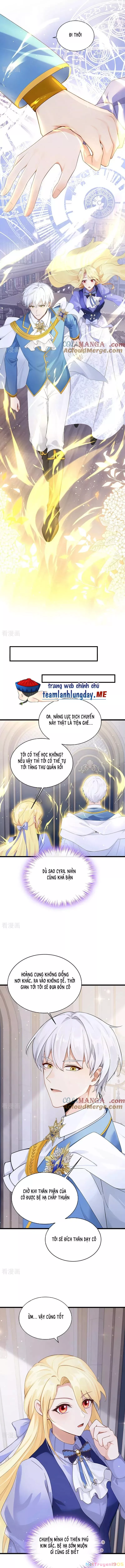 Sau khi nhường lại thiên phú, ta trở thành bảo bối của giới pháp thuật: Chapter 27