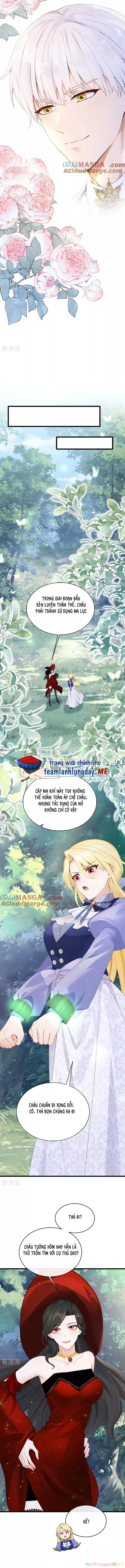 Sau khi nhường lại thiên phú, ta trở thành bảo bối của giới pháp thuật: Chapter 28