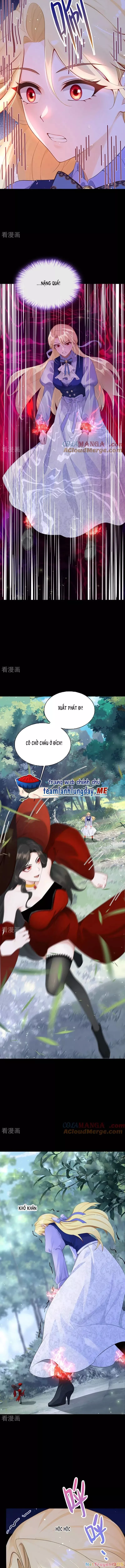 Sau khi nhường lại thiên phú, ta trở thành bảo bối của giới pháp thuật: Chapter 28