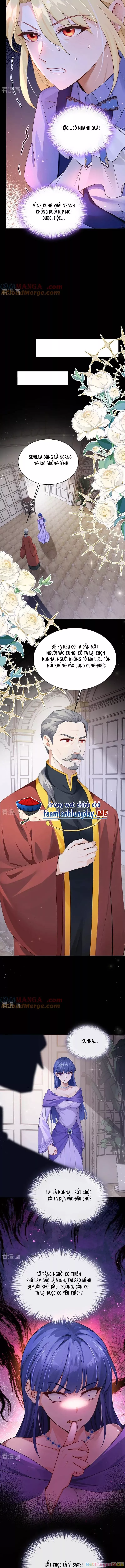 Sau khi nhường lại thiên phú, ta trở thành bảo bối của giới pháp thuật: Chapter 28