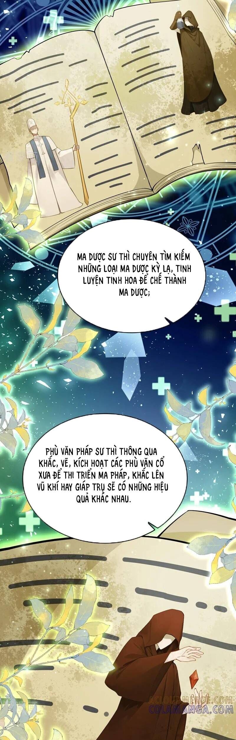Sau khi nhường lại thiên phú, ta trở thành bảo bối của giới pháp thuật: Chapter 31