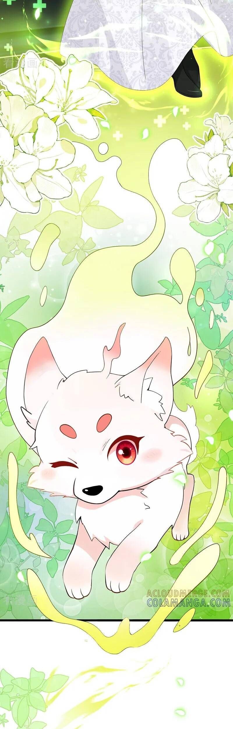 Sau khi nhường lại thiên phú, ta trở thành bảo bối của giới pháp thuật: Chapter 34