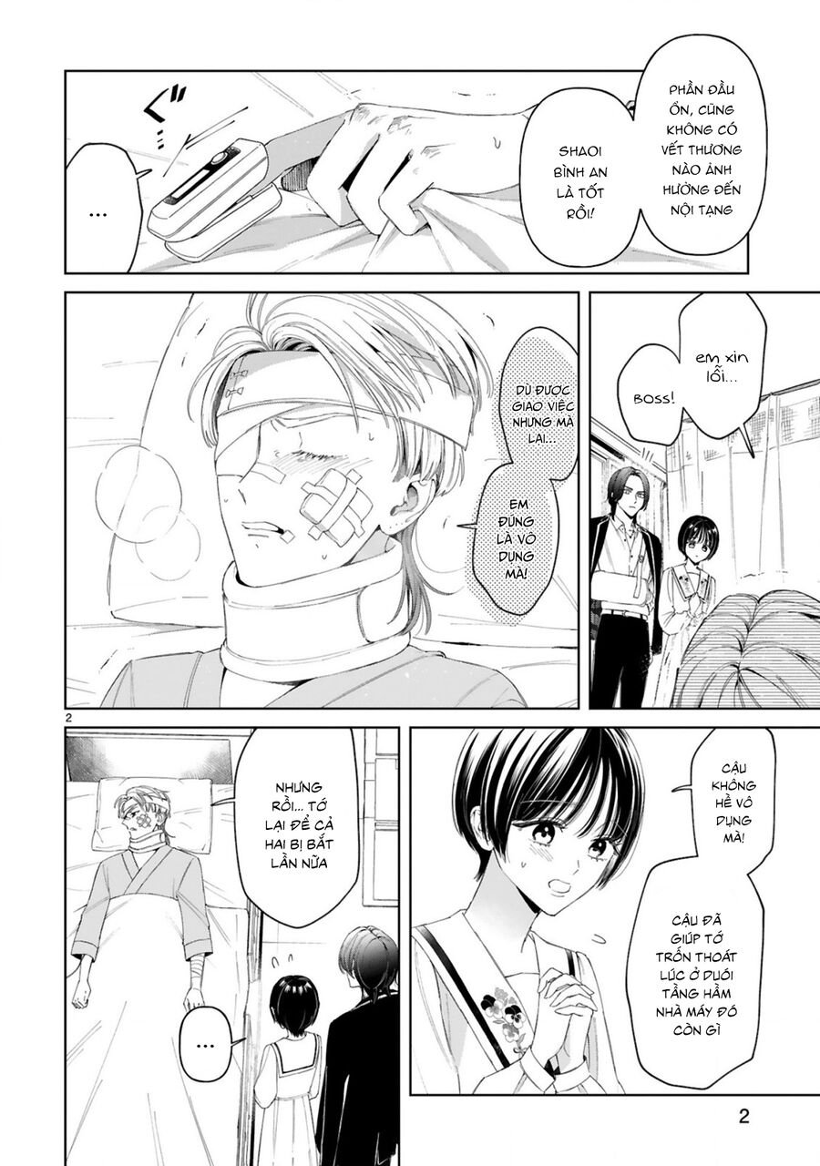 Sewayaki Mafia To Hakkou Shoujo: Chapter 12