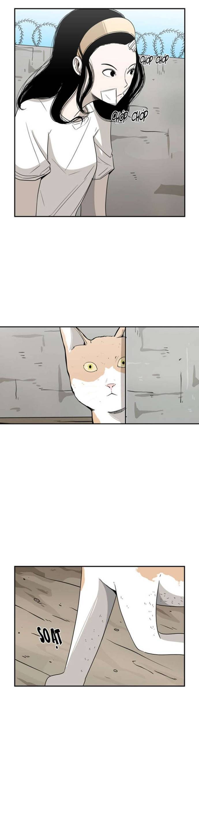 Shark - Cá Mập: Chapter 47