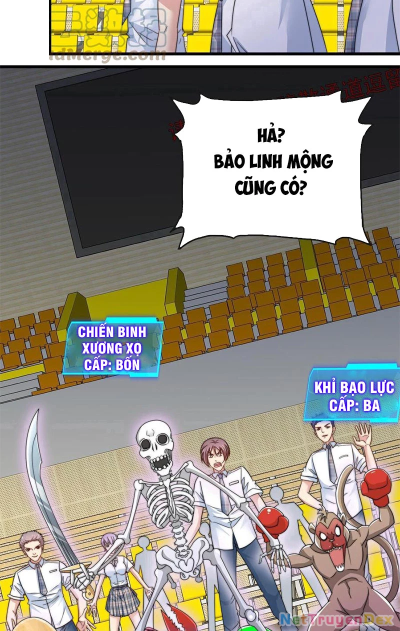 Slime Ta Treo Cự Long Lên Đánh Là Hợp Lý Nhỉ?: Chapter 1