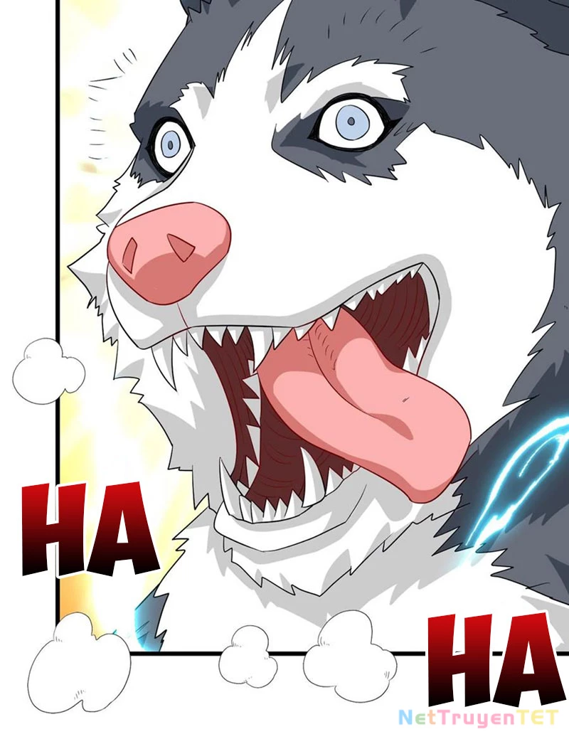 Slime Ta Treo Cự Long Lên Đánh Là Hợp Lý Nhỉ?: Chapter 255