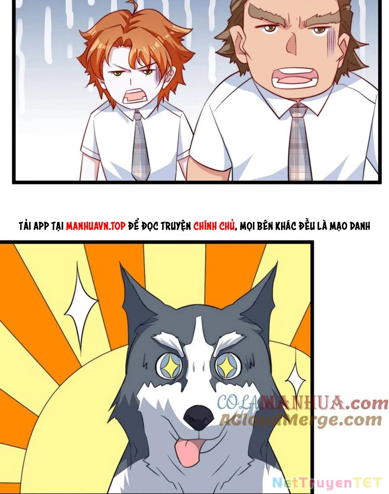 Slime Ta Treo Cự Long Lên Đánh Là Hợp Lý Nhỉ?: Chapter 257