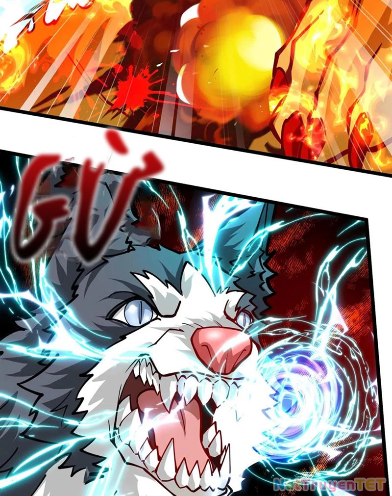 Slime Ta Treo Cự Long Lên Đánh Là Hợp Lý Nhỉ?: Chapter 259