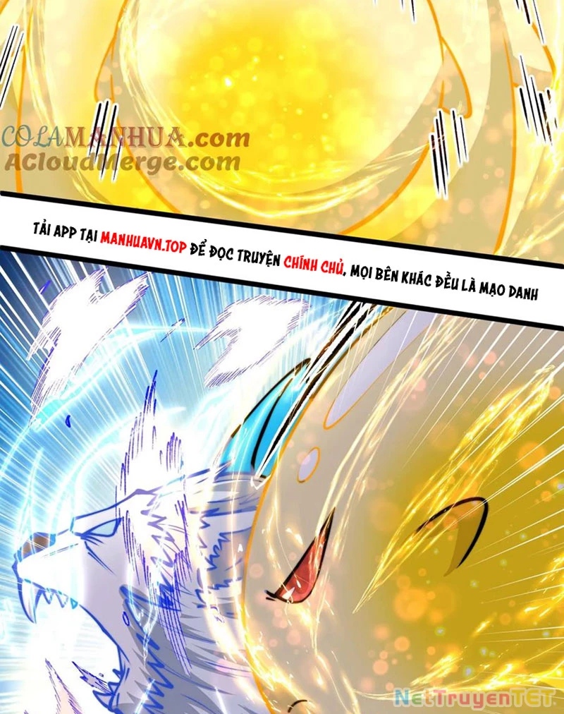 Slime Ta Treo Cự Long Lên Đánh Là Hợp Lý Nhỉ?: Chapter 268