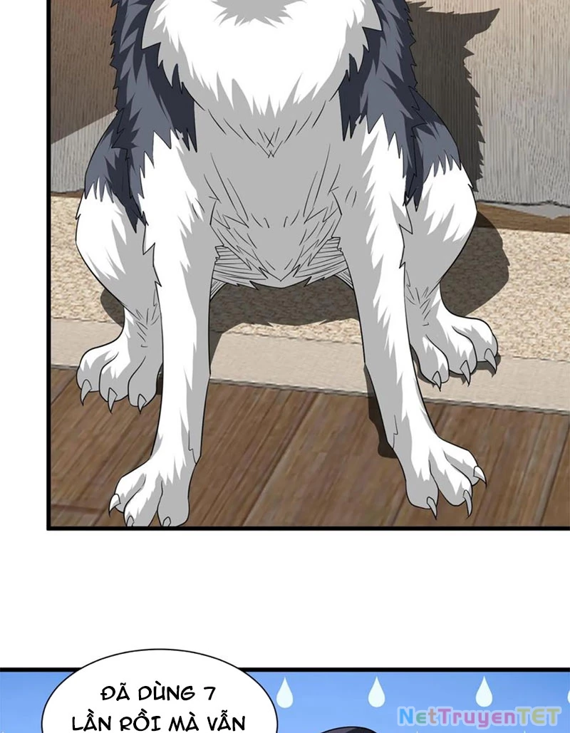 Slime Ta Treo Cự Long Lên Đánh Là Hợp Lý Nhỉ?: Chapter 276