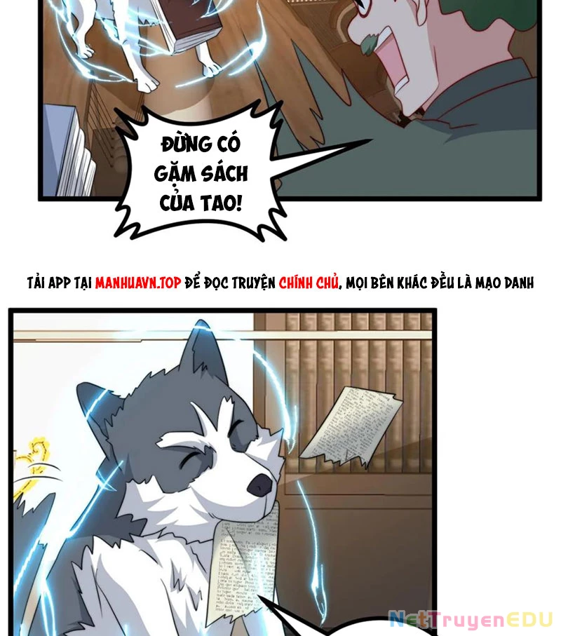 Slime Ta Treo Cự Long Lên Đánh Là Hợp Lý Nhỉ?: Chapter 298