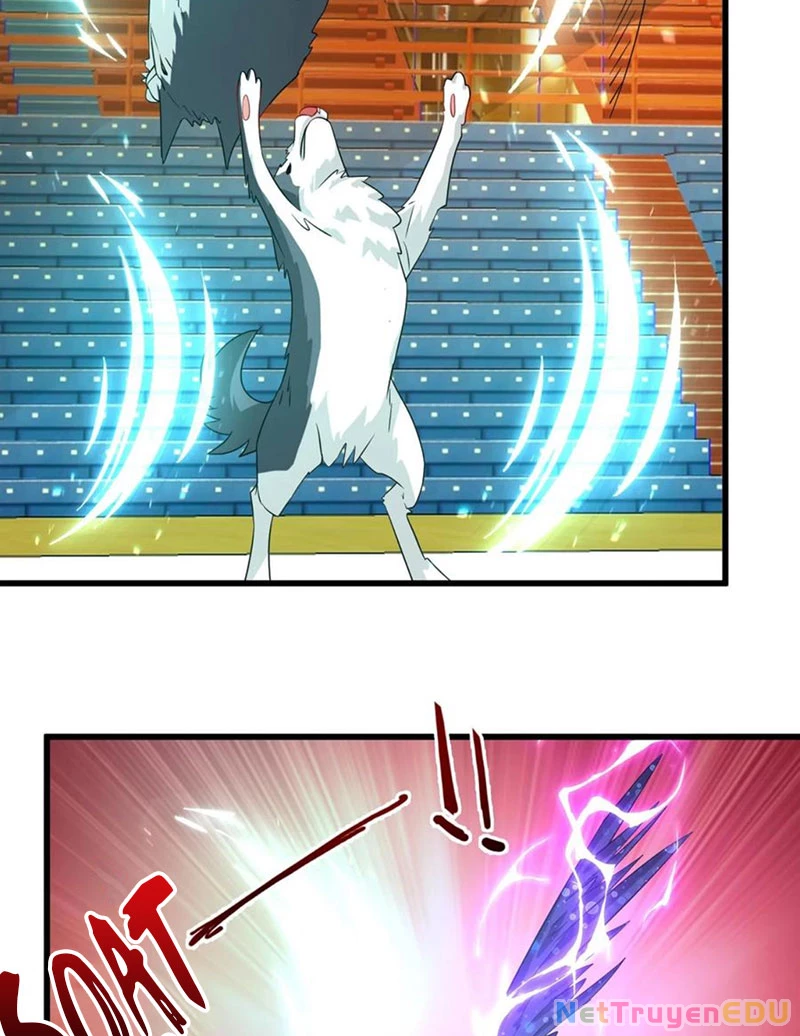 Slime Ta Treo Cự Long Lên Đánh Là Hợp Lý Nhỉ?: Chapter 303