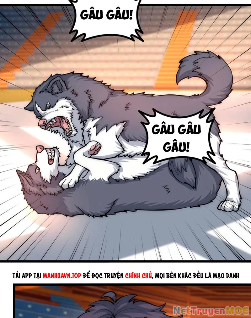 Slime Ta Treo Cự Long Lên Đánh Là Hợp Lý Nhỉ?: Chapter 305
