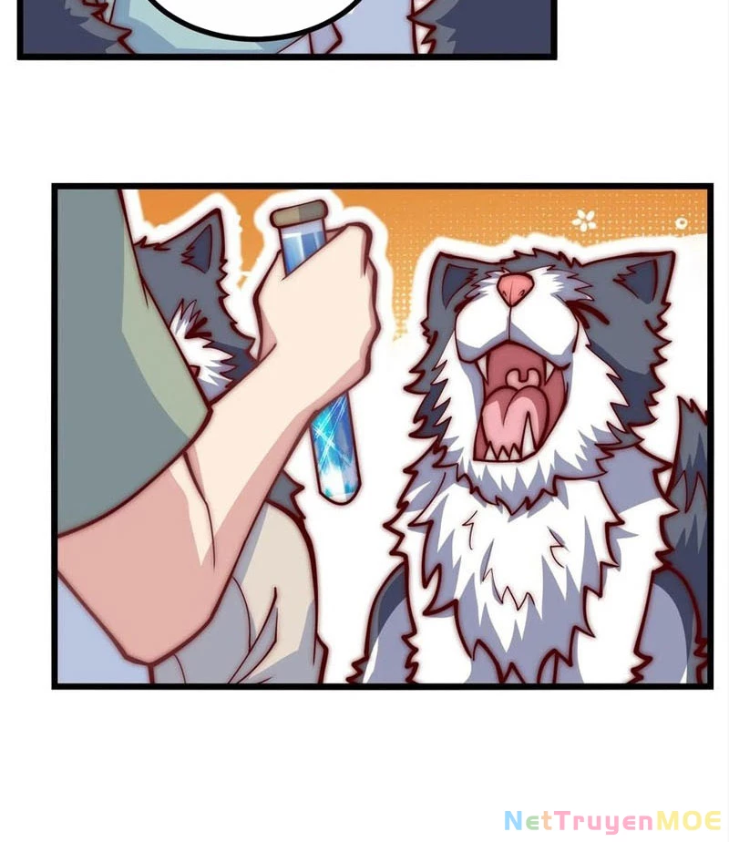 Slime Ta Treo Cự Long Lên Đánh Là Hợp Lý Nhỉ?: Chapter 318