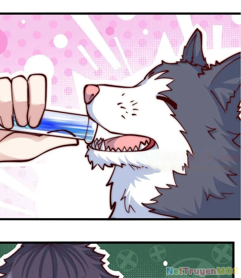 Slime Ta Treo Cự Long Lên Đánh Là Hợp Lý Nhỉ?: Chapter 318