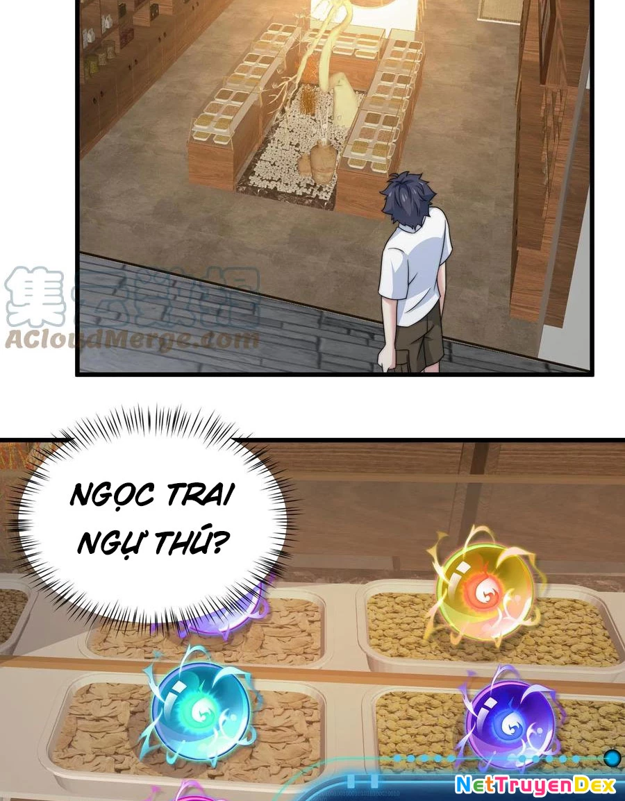 Slime Ta Treo Cự Long Lên Đánh Là Hợp Lý Nhỉ?: Chapter 48