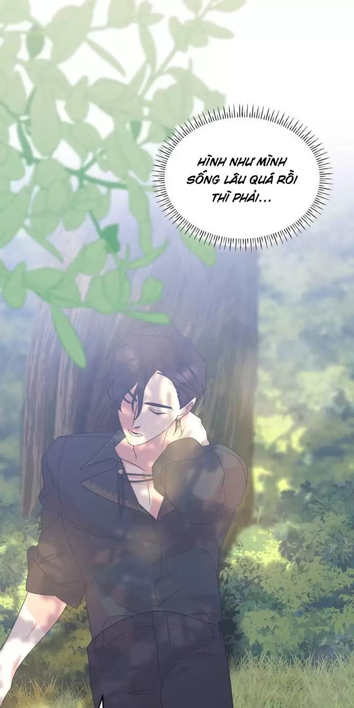 Sống Trong Vườn Hoa Của Công Chúa: Chapter 13