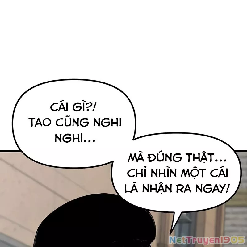 Sự Bí Ẩn Của Học Sinh Chuyển Trường: Chapter 2