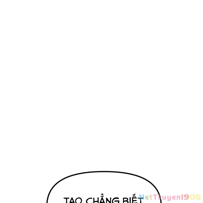 Sự Bí Ẩn Của Học Sinh Chuyển Trường: Chapter 2