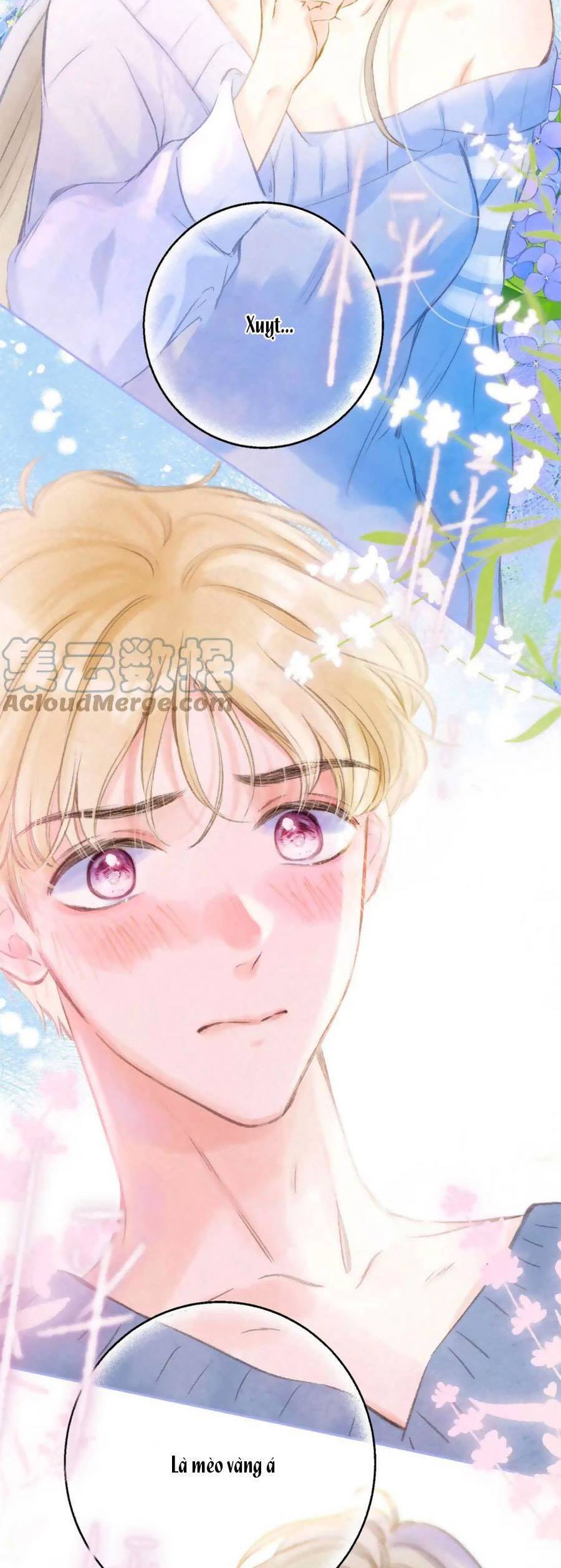 Sự Khuấy Động Ngọt Ngào: Chapter 23