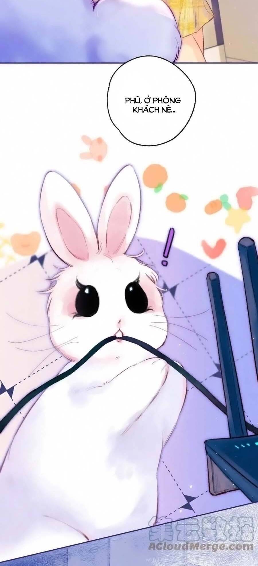 Sự Khuấy Động Ngọt Ngào: Chapter 27