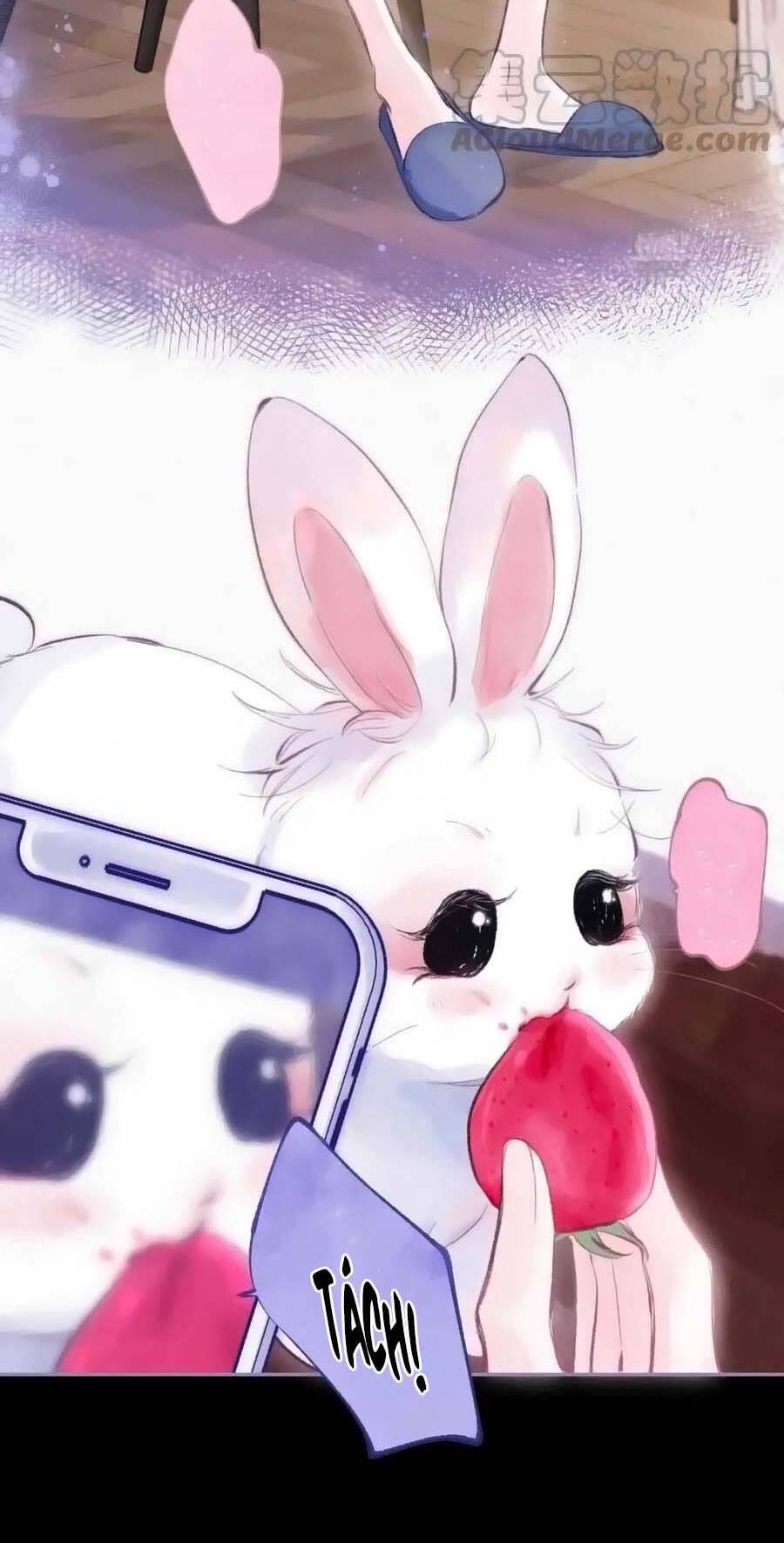 Sự Khuấy Động Ngọt Ngào: Chapter 27