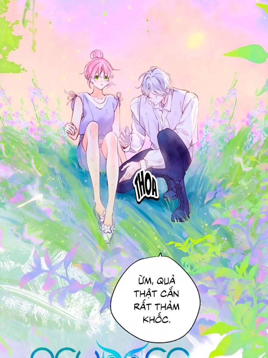 Sự Khuấy Động Ngọt Ngào: Chapter 6