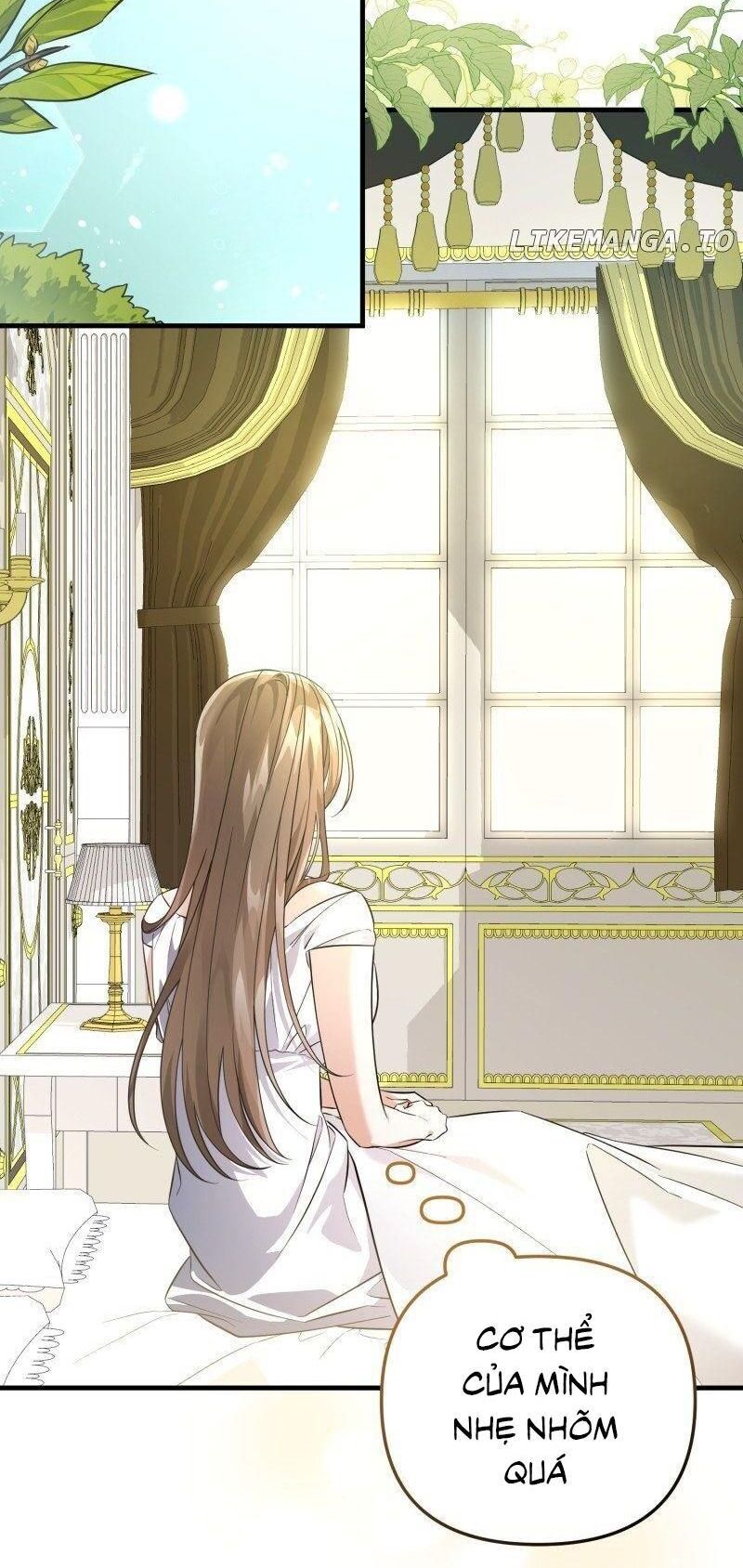 Sự quyến rũ của người vợ: Chapter 5