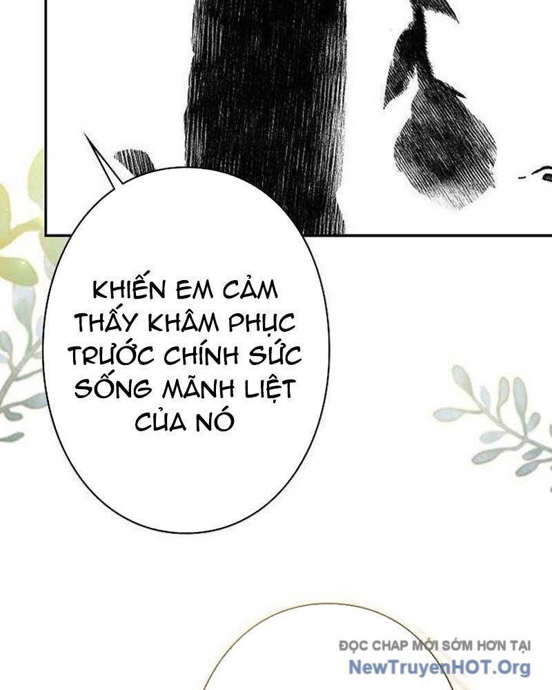 Sự Tái Sinh Của Nhà Thiết Kế Tài Ba: Chapter 30