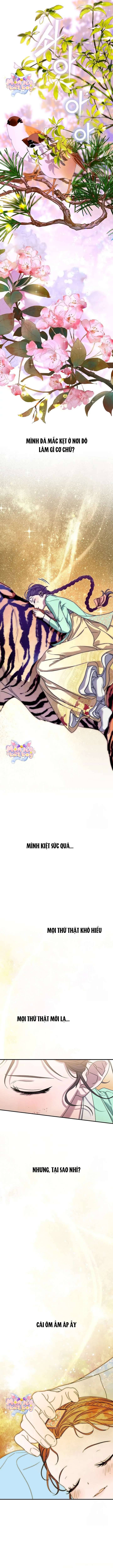 Ta Chỉ Muốn Ăn Em: Chapter 6