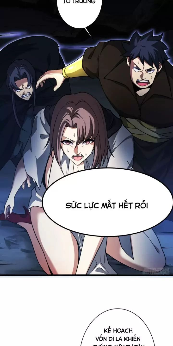 Ta, Chúa Tể Rừng Xanh: Chapter 12