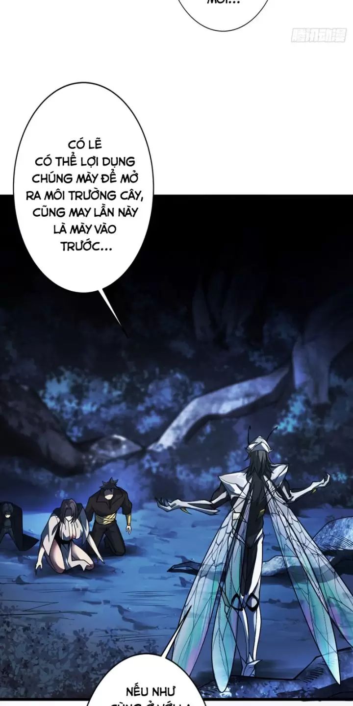 Ta, Chúa Tể Rừng Xanh: Chapter 12