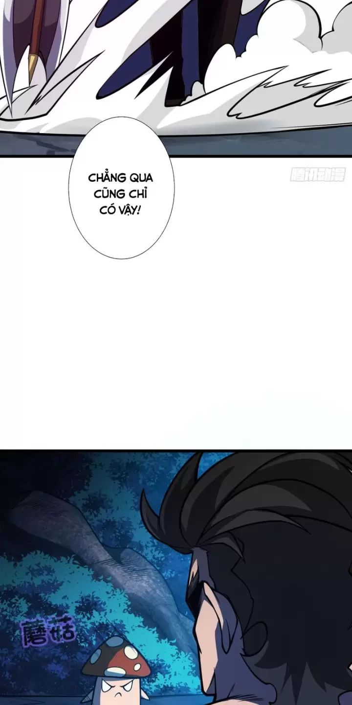 Ta, Chúa Tể Rừng Xanh: Chapter 13