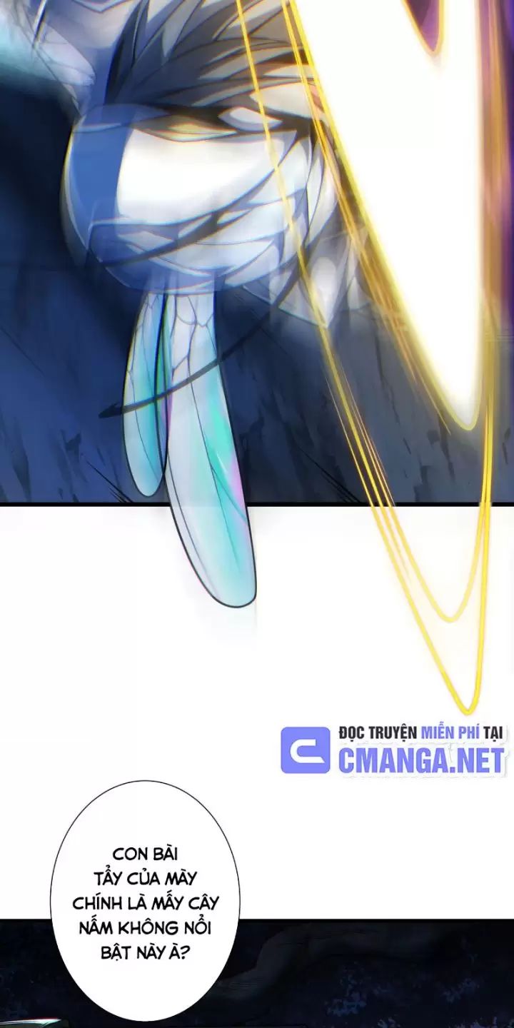 Ta, Chúa Tể Rừng Xanh: Chapter 13