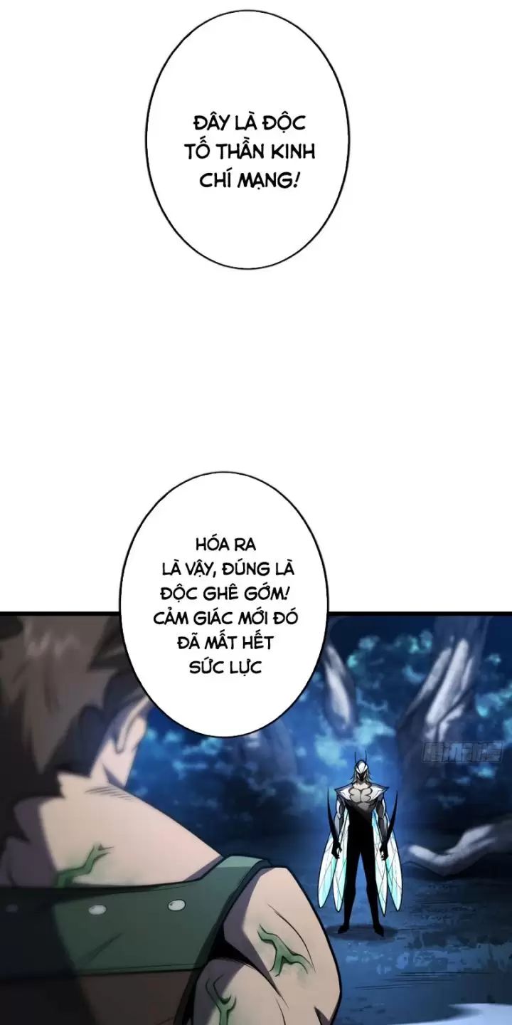 Ta, Chúa Tể Rừng Xanh: Chapter 13