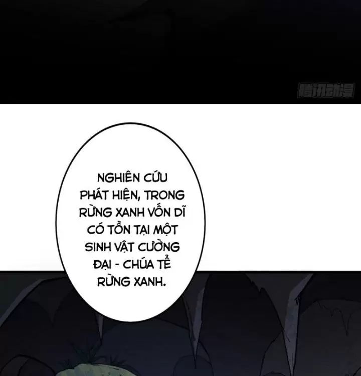 Ta, Chúa Tể Rừng Xanh: Chapter 2