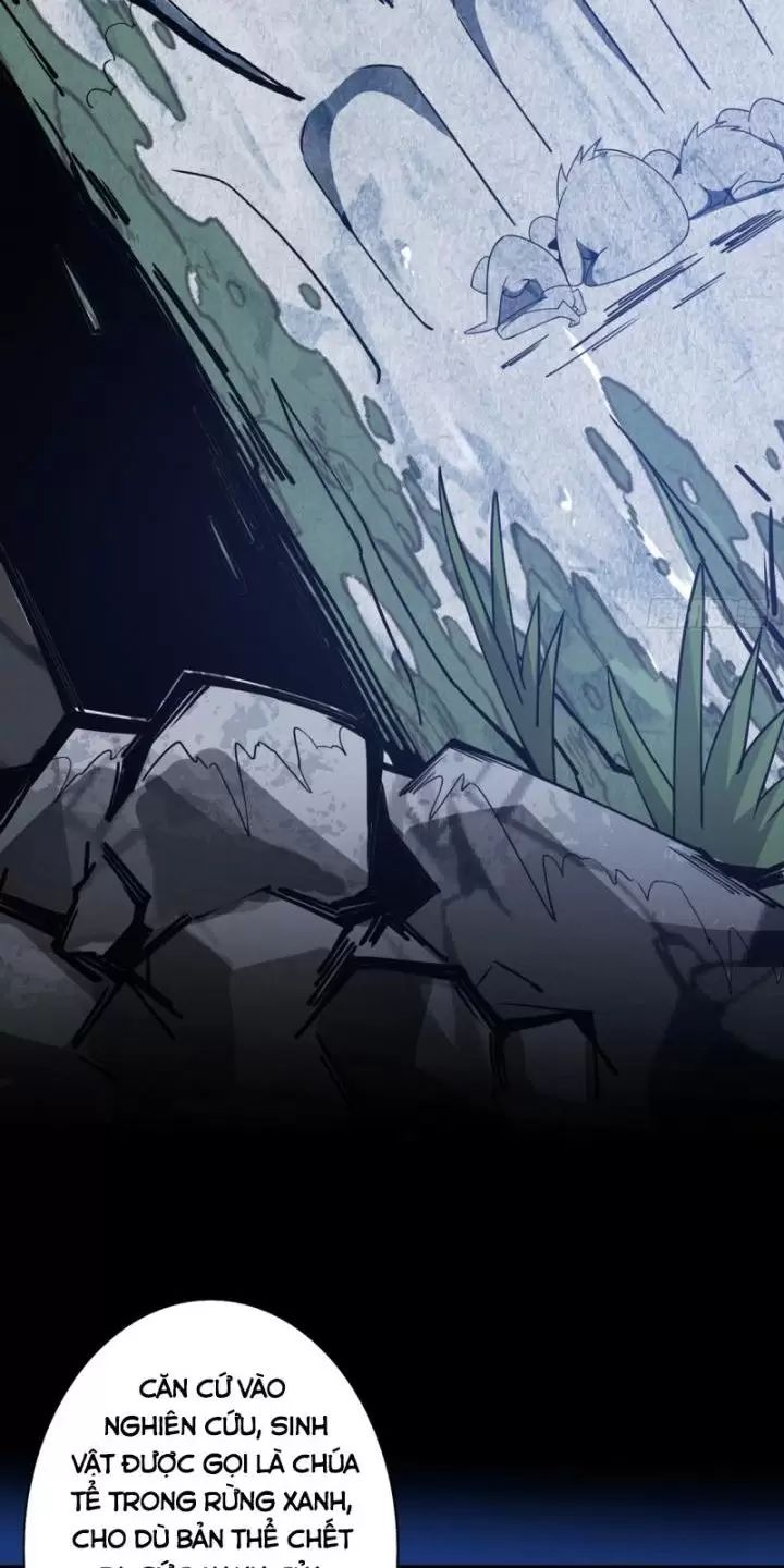 Ta, Chúa Tể Rừng Xanh: Chapter 2