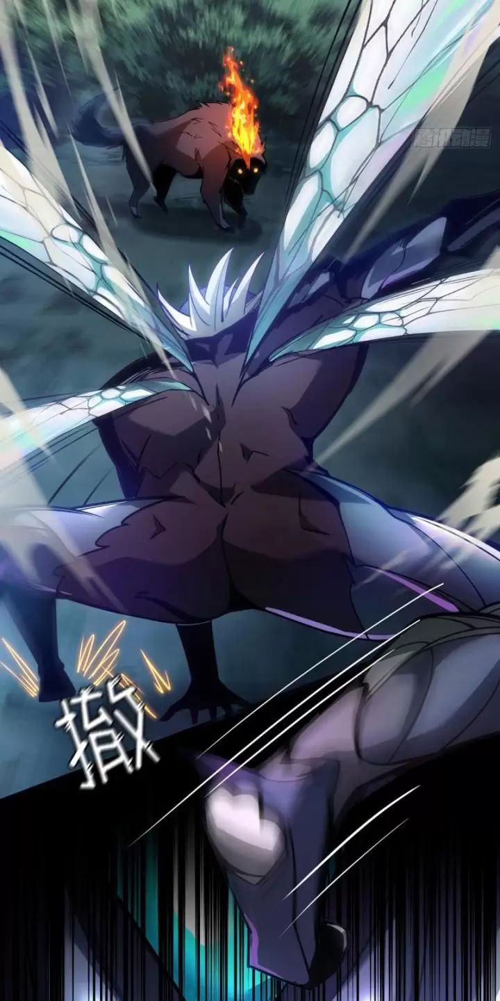 Ta, Chúa Tể Rừng Xanh: Chapter 2