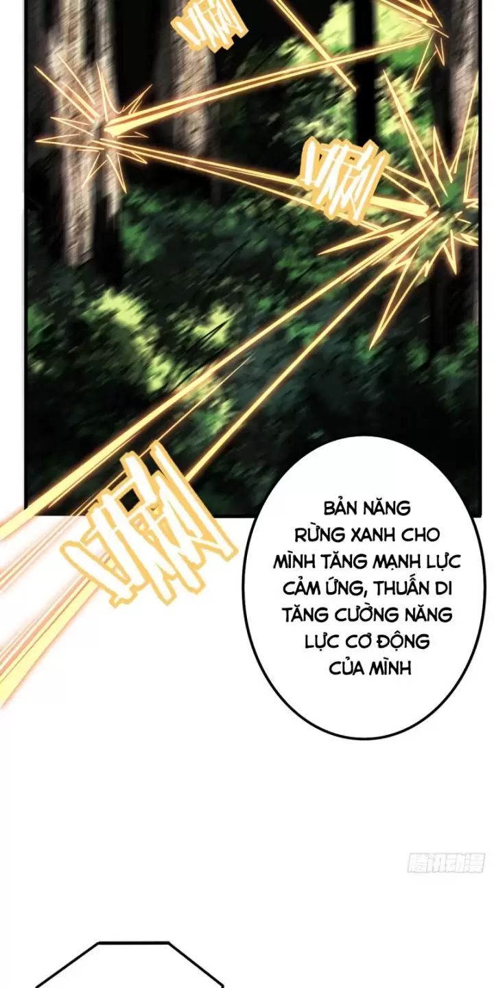 Ta, Chúa Tể Rừng Xanh: Chapter 2