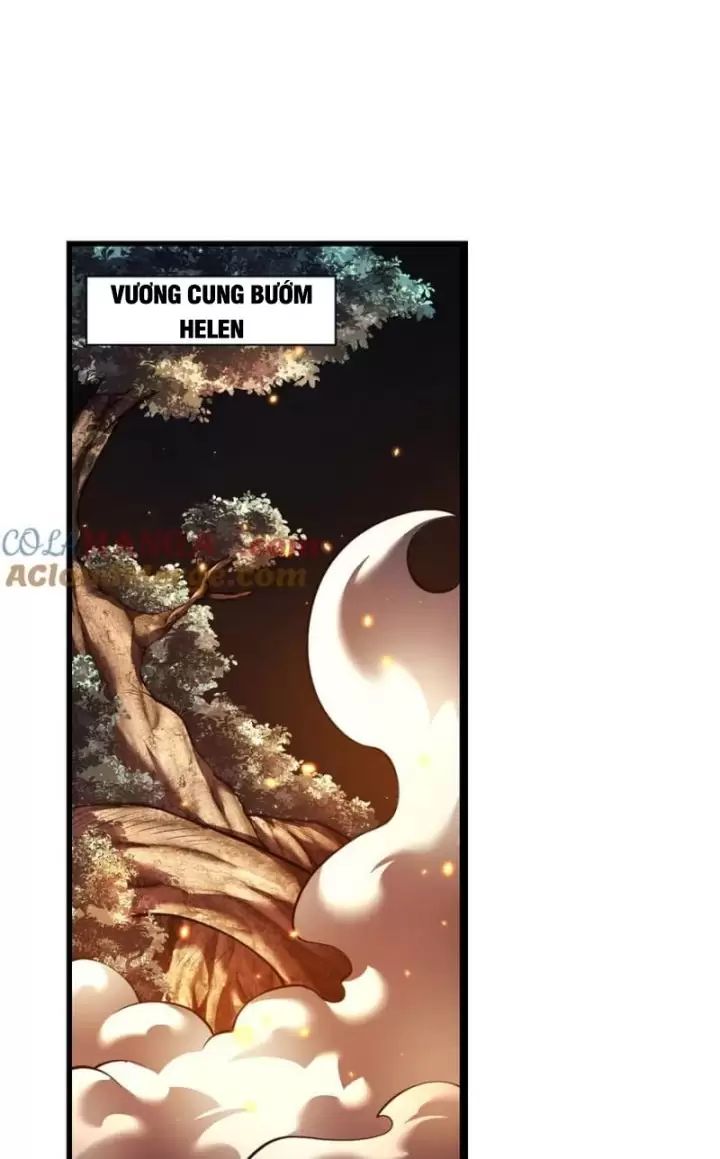 Ta, Chúa Tể Rừng Xanh: Chapter 28