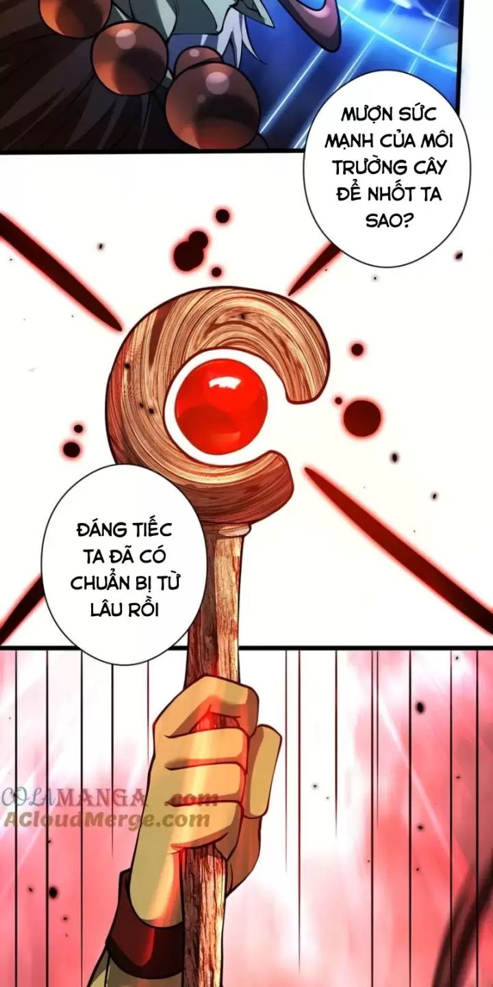 Ta, Chúa Tể Rừng Xanh: Chapter 28